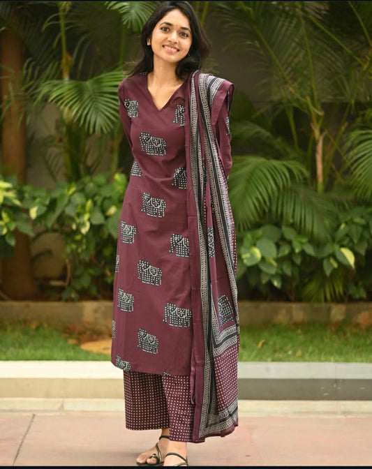 Boho Elephant Print Kurti Set